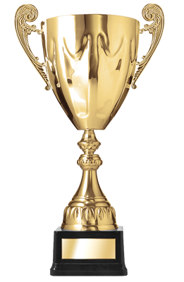 Credit union web design award trophy