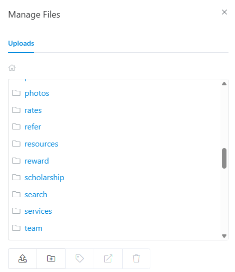 CMS file manager