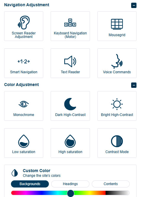 ADA compliance widget settings panel